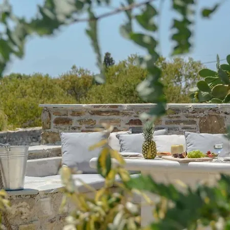 Holiday home Anthemion Naxos With Outdoor Jacuzzi